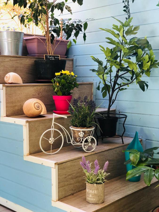 Comfy Paleo Faliro Apartment アテネ エクステリア 写真